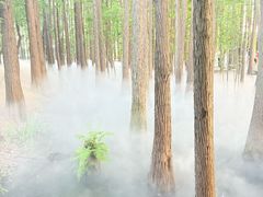 -东湖落雁景区