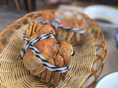 -蟹天蟹地农家菜·阳澄湖大闸蟹(浅水湾店)