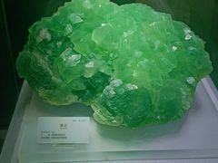 -湖南省地质博物馆