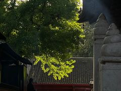 -红螺寺