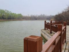-塘沽森林公园
