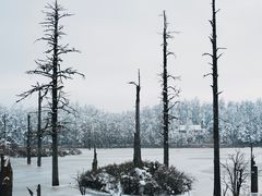 -瓦屋山景区