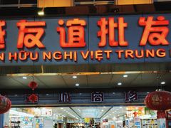 -东兴口岸-中越友谊大桥