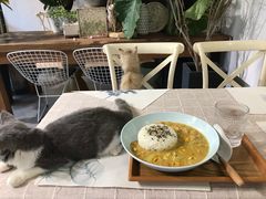 -吉丁鸟咖·异宠·寄养