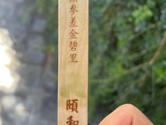 -颐和园