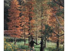 -广州市石门国家森林公园