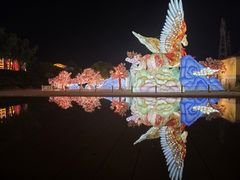 -淄博花灯齐彩城