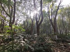 -苏州河梦清园环保主题公园