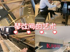 -柏斯音乐艺术中心·钢琴·吉他(上音店)