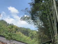 -蜀南竹海景区