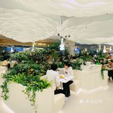 【高顏值餐廳推薦：big tree🌳】