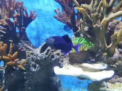 -多彩贵州城极地海洋世界