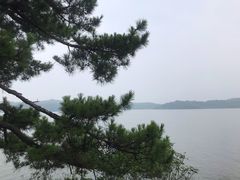 -天目湖山水园