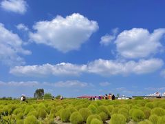 -映月湖中央公园
