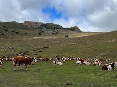 -克什克腾世界地质公园青山景区