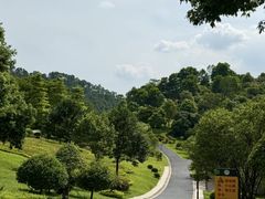 -东莞植物园