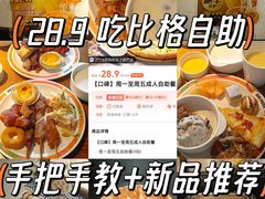 -比格比萨自助(花园路店)
