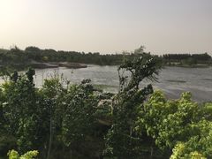 -东郊湿地公园