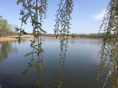 -东郊湿地公园