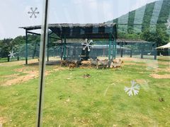 -无锡动物园·太湖欢乐园