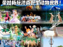 -济南野生动物世界