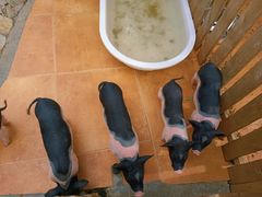 -HERRE·FARM 赫尔露营农场·团建聚会包场