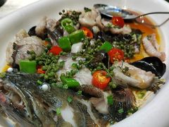 -陶缘一号·四季缘·老字号顺德菜·户外婚礼家宴(西滘店)