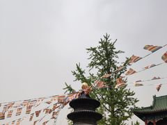 -天津大悲禅院