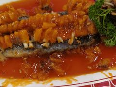 -津悦·正阳春烤鸭(红旗南路店)
