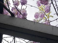 -郑和公园