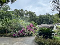 -都江堰普照寺