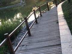 -燕郊植物园