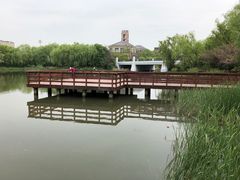 -新江湾城公园