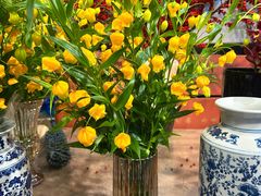 -双季花艺园艺市场(浦东店)