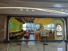 -油梨树AVOCADO TREE(望京店)