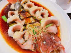 -甄御•海鲜新青岛菜(麦岛店)