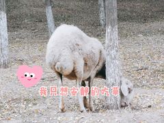 -东郊湿地公园