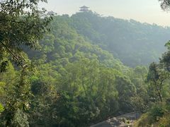 -大屏嶂森林公园