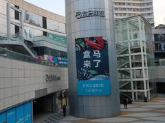 -盒马X会员店(王府井奥莱UP TOWN店)