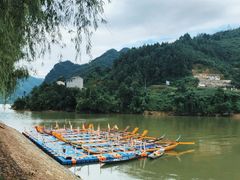 -后柳水乡