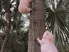 -天台国家森林公园水上茶乡九鹏溪