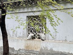 -西园戒幢律寺