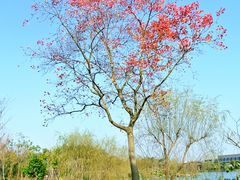 调色后。。。-上海怡沁园度假酒店