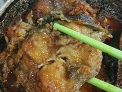 鲶鱼豆腐锅-北京大学-燕南食堂