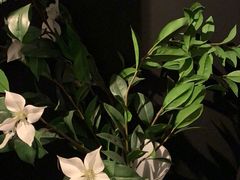 -后院儿·精酿·塔罗Happy Bar