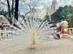 -J Create城市露营咖啡·简餐·宠物(上海动物园店)