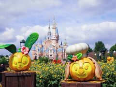 -上海迪士尼度假区