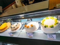 -猫里有甜