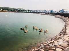-红石沟生态休闲农场