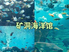 -长鹿旅游休博园